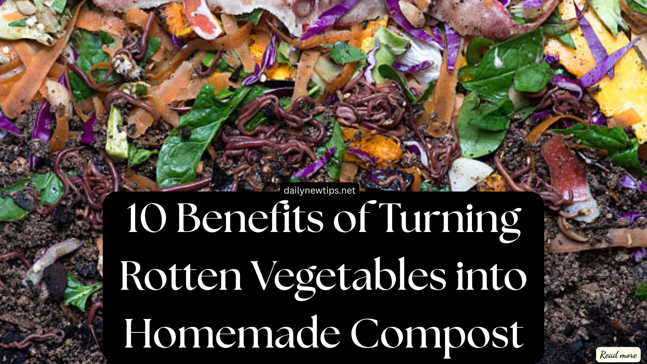 10 Benefits of Turning Rotten Vegetables into Homemade Compost