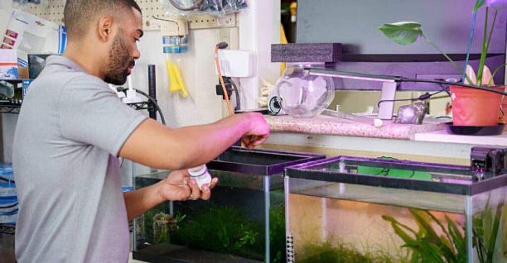 Eco-friendly freshwater aquarium with natural driftwood and lush green live plants.