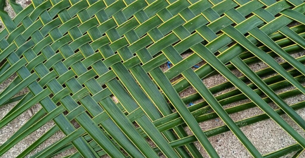 Decorative palm leaf basket crafted by hand and placed on a wooden table.