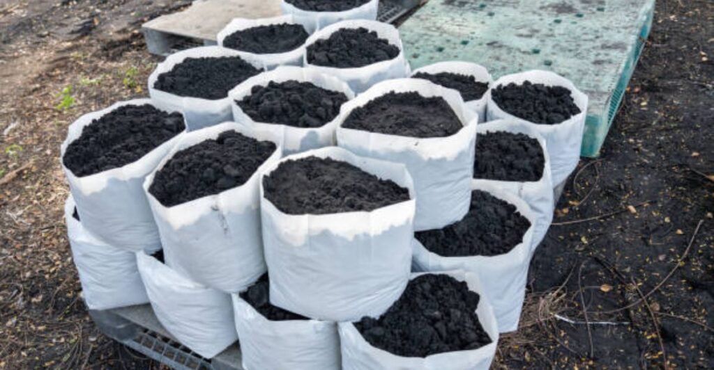 Natural coal peat compost made at home for healthy garden soil