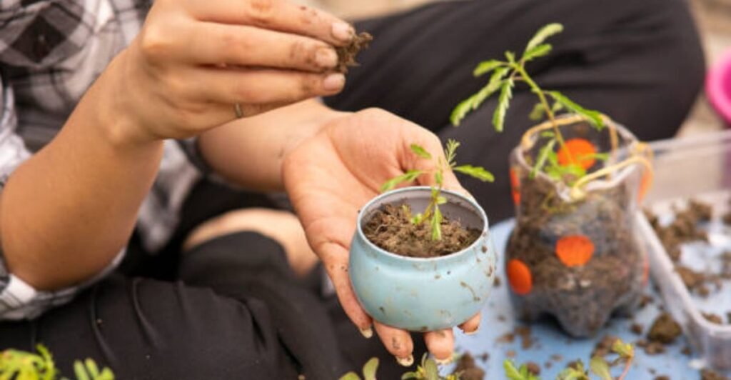 Gardener mixing compost and natural materials into flowerpot soil