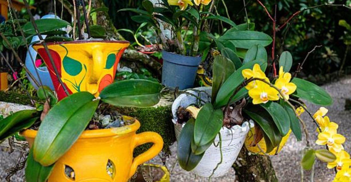 Hand-painted terracotta plant pot decorated with colorful floral patterns displayed among blooming garden plants.