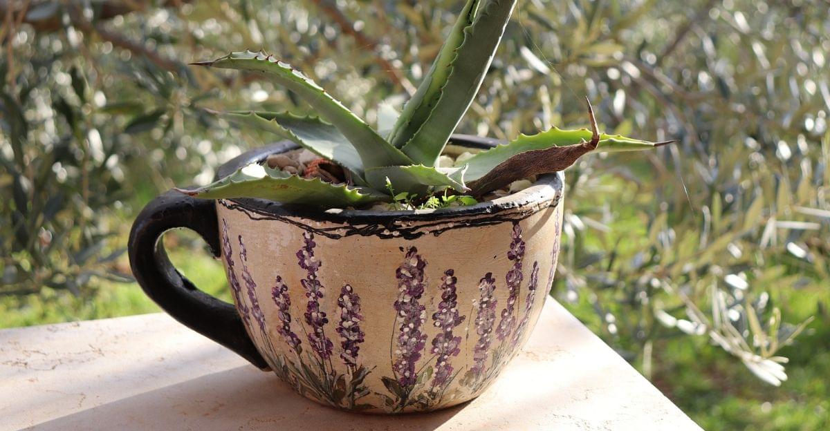 Creative plant pot painted with geometric patterns and bold colors placed on a wooden garden shelf.