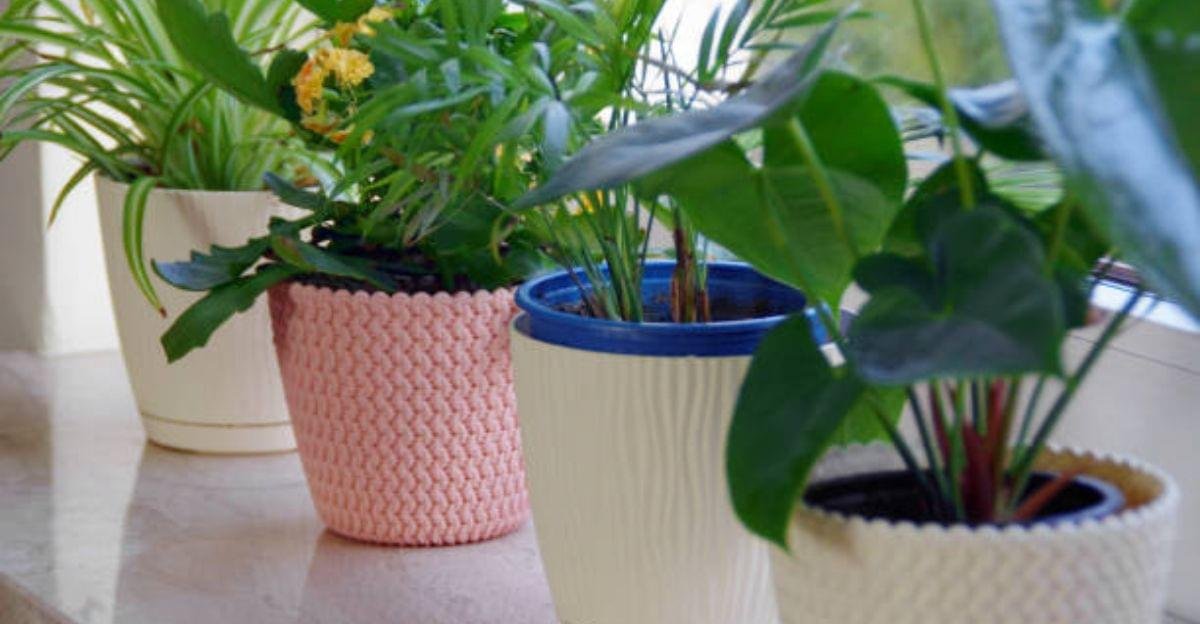 Contemporary smart decorative plant pots featuring automatic watering technology for modern homes in 2026.