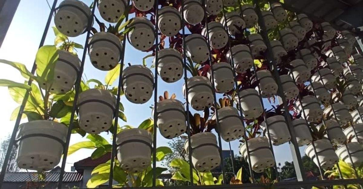Plastic bottle vertical hanging garden with colorful herbs and flowers on a small urban balcony wall.