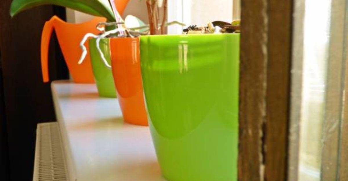 Modern self-watering flower pots in ceramic and matte finishes decorating a bright living space with healthy houseplants.