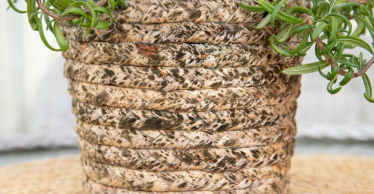 Eco-friendly rope-wrapped plant pot created from a recycled container for rustic interior decoration.