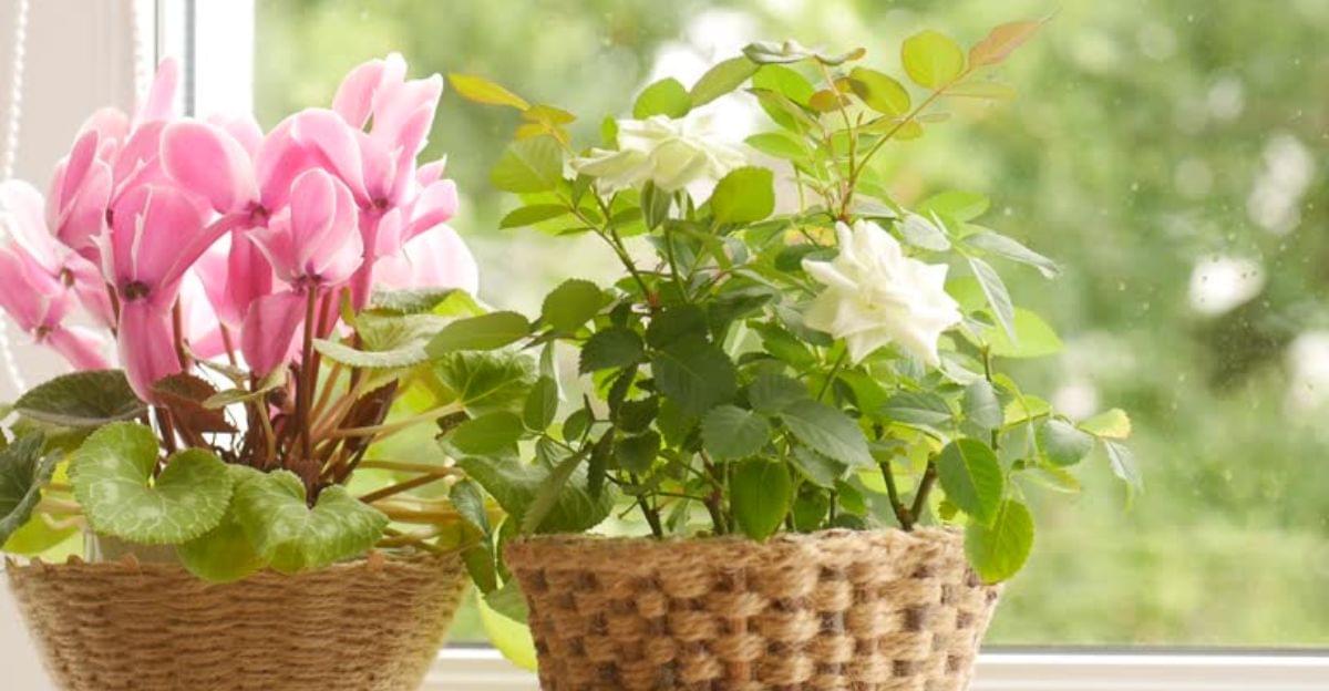 Handmade farmhouse planter wrapped with natural jute rope and decorated with fresh greenery.