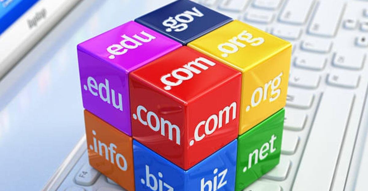 Website owner researching domain name options
