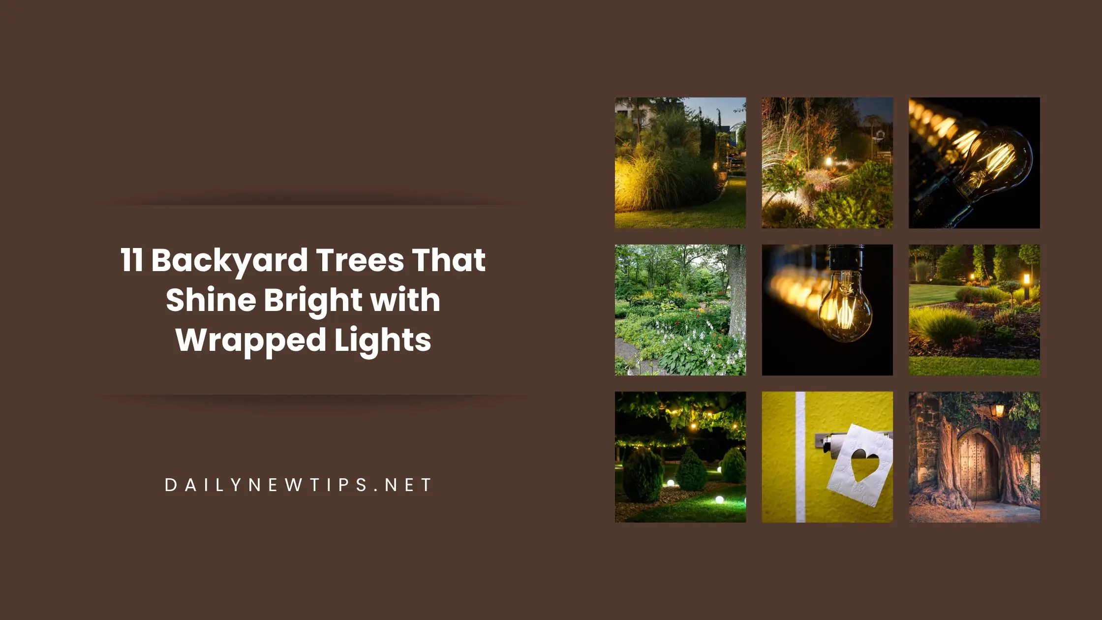 11 Backyard Trees That Shine Bright with Wrapped Lights