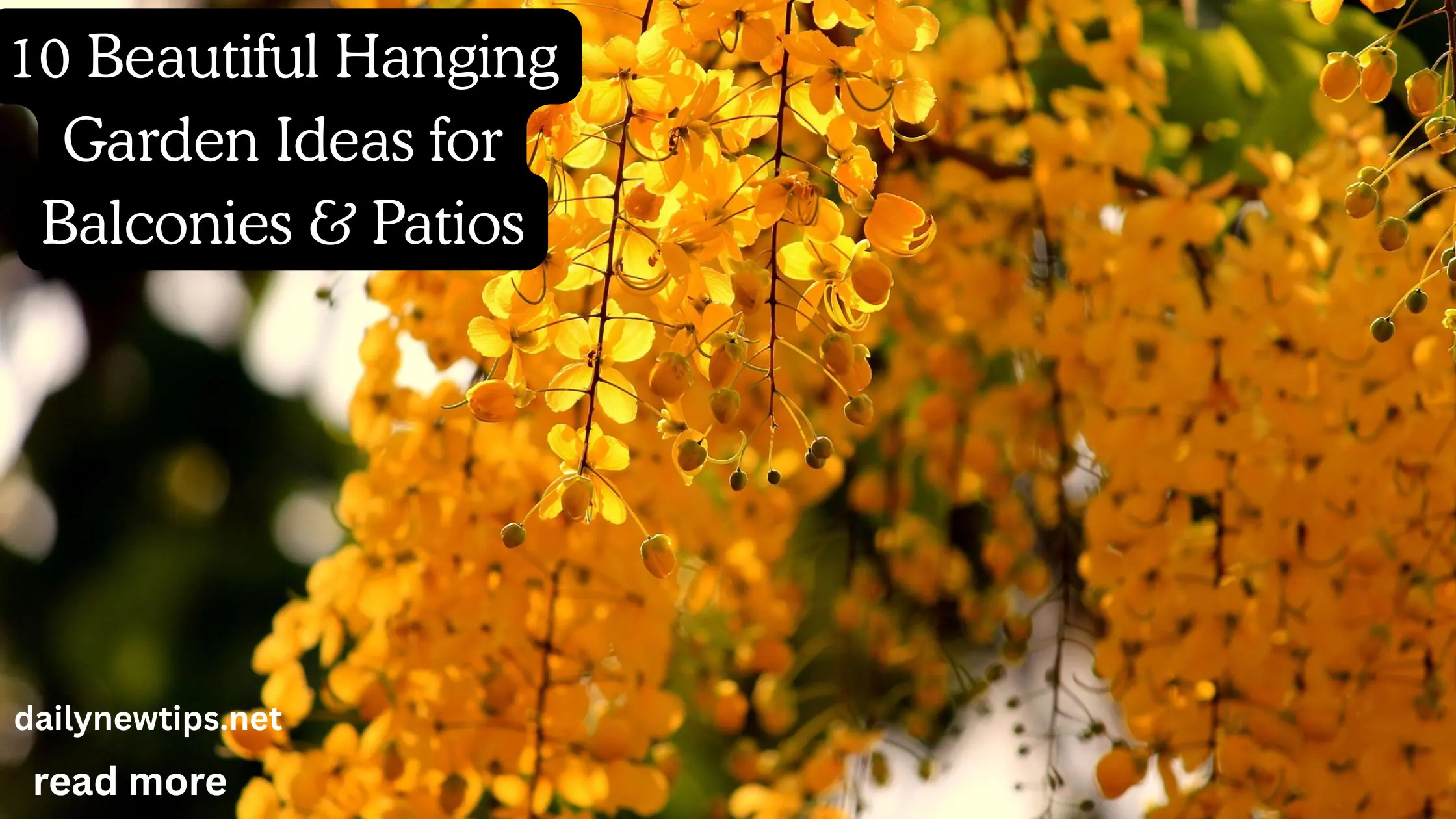 10 Beautiful Hanging Garden Ideas for Balconies & Patios