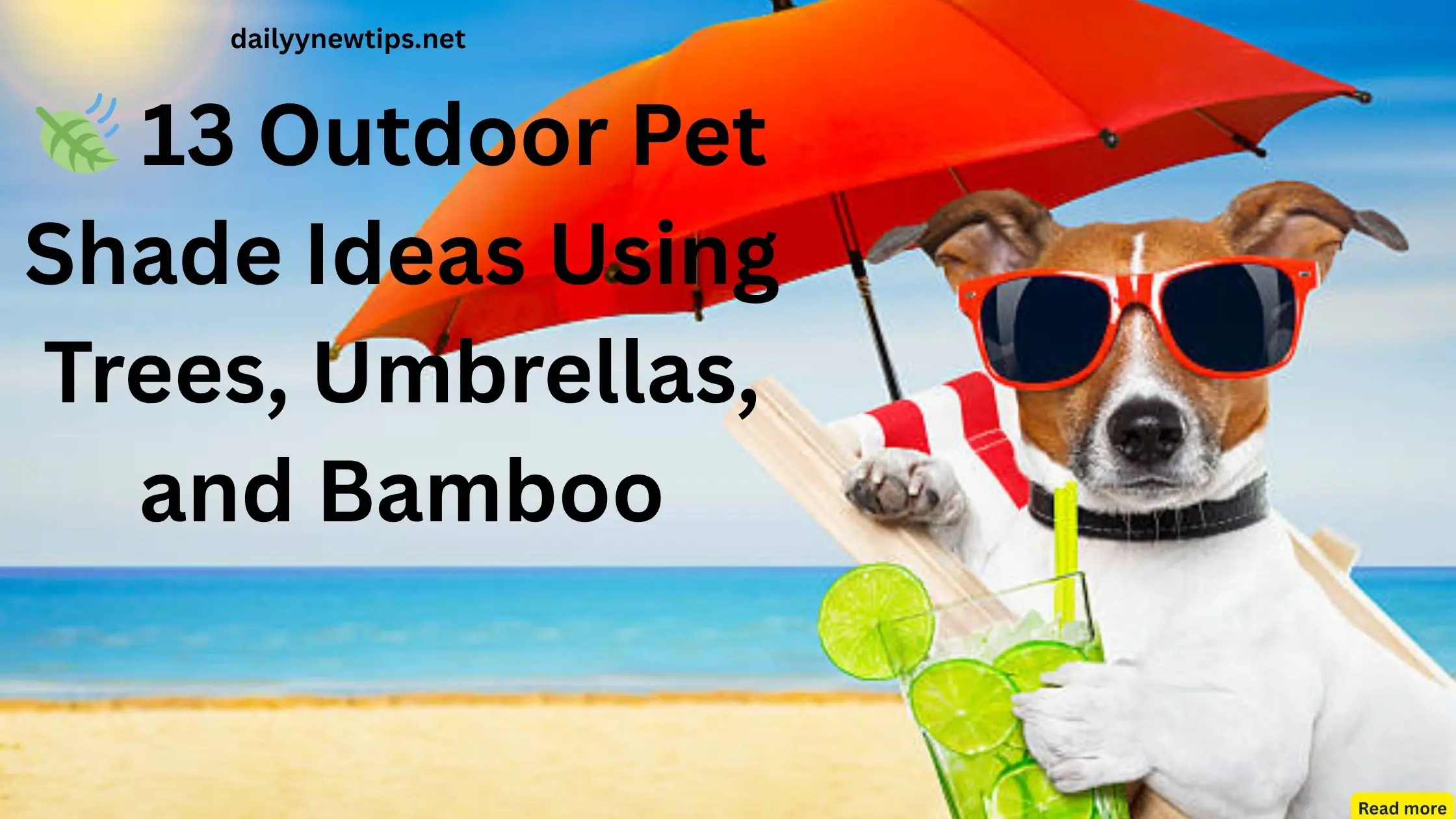 🍃 13 Outdoor Pet Shade Ideas Using Trees, Umbrellas, and Bamboo
