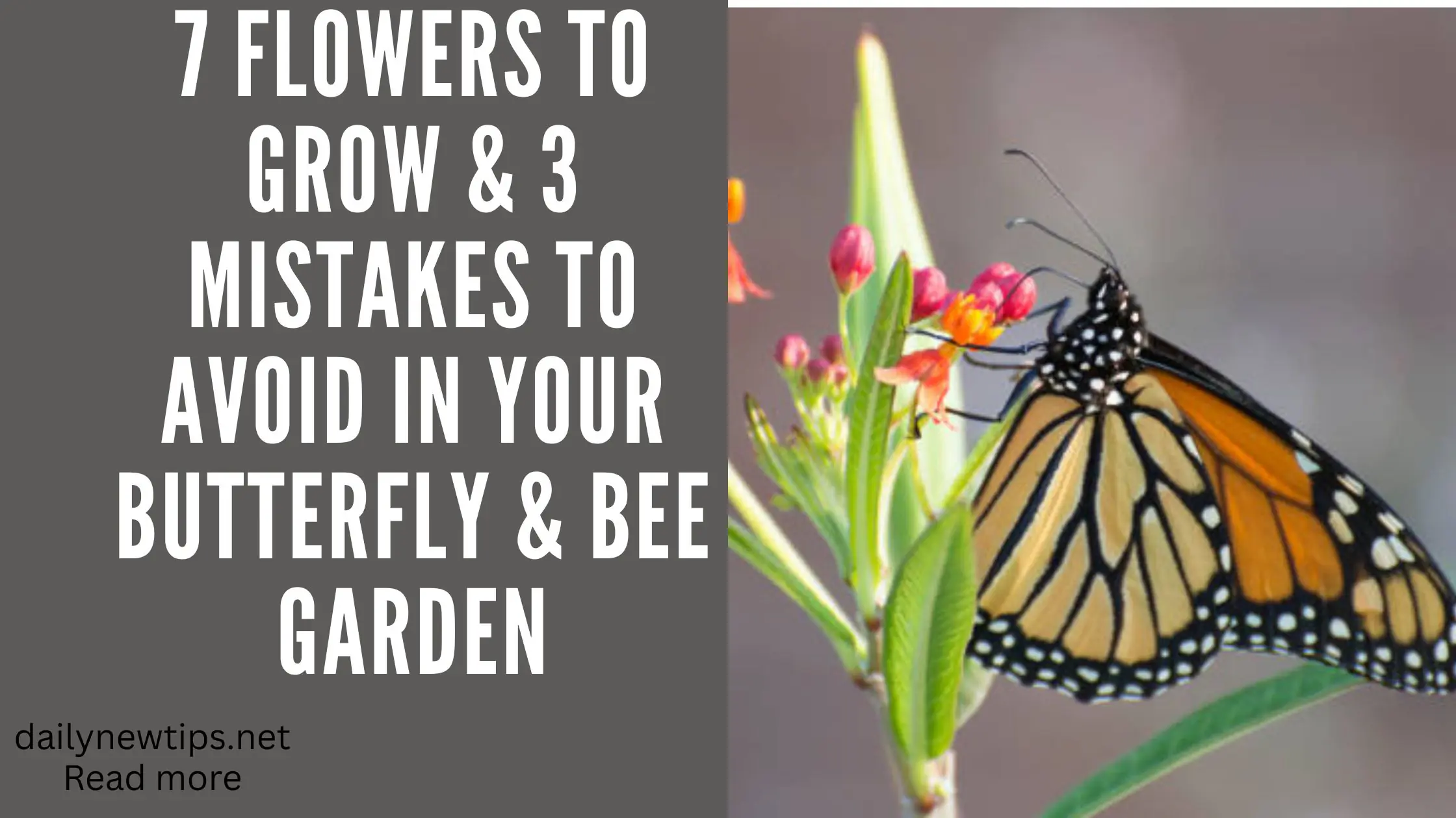 7 Flowers to Grow & 3 Mistakes to Avoid in Your Butterfly & Bee Garden