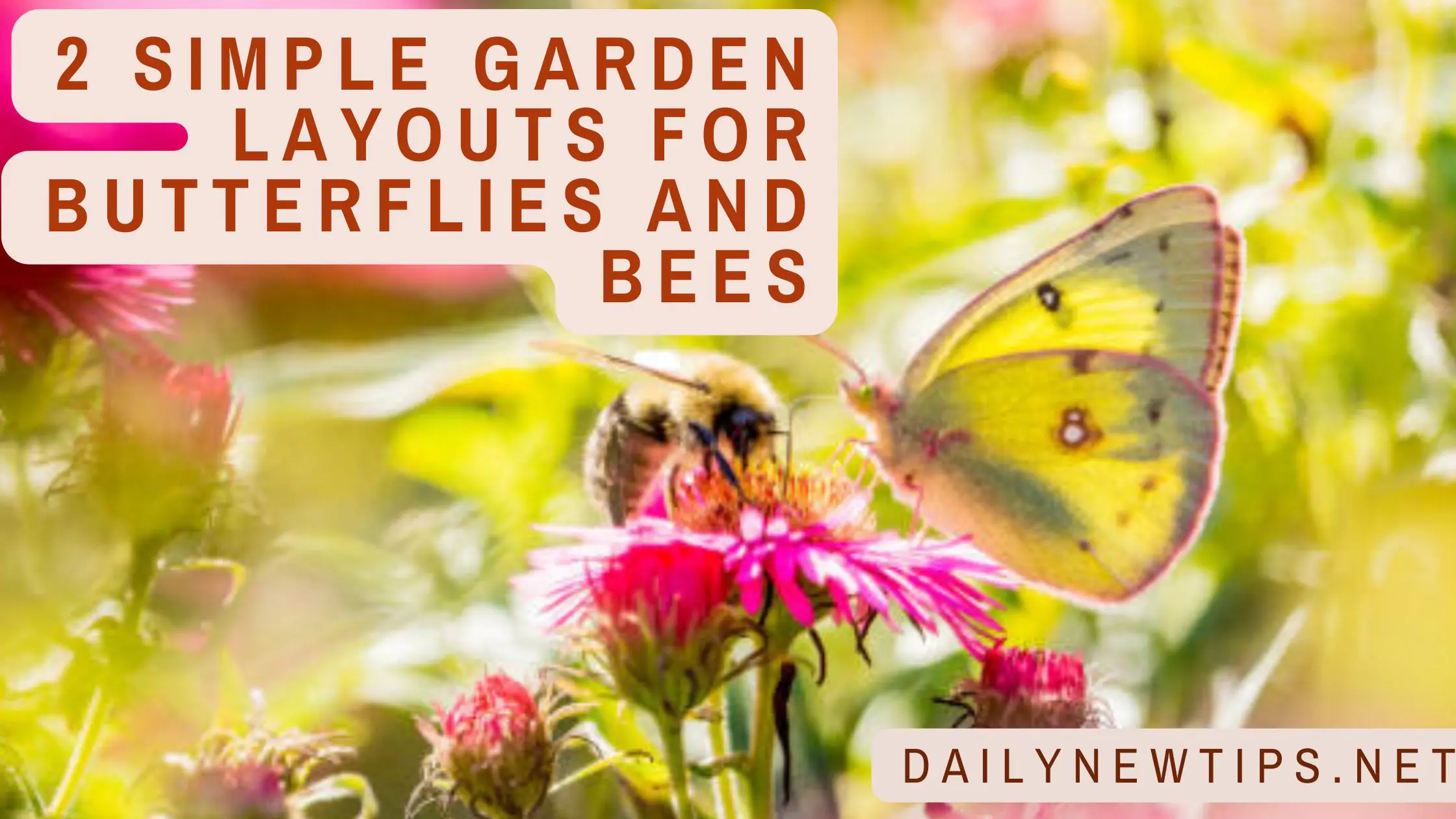 2 Simple Garden Layouts for Butterflies and Bees
