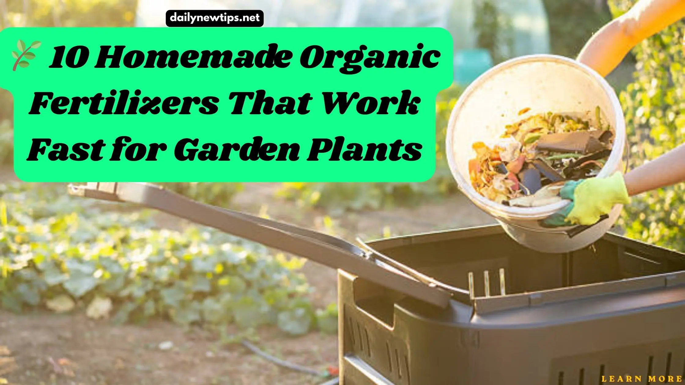 10 Homemade organic fertilizers for fast plant growth in home garden