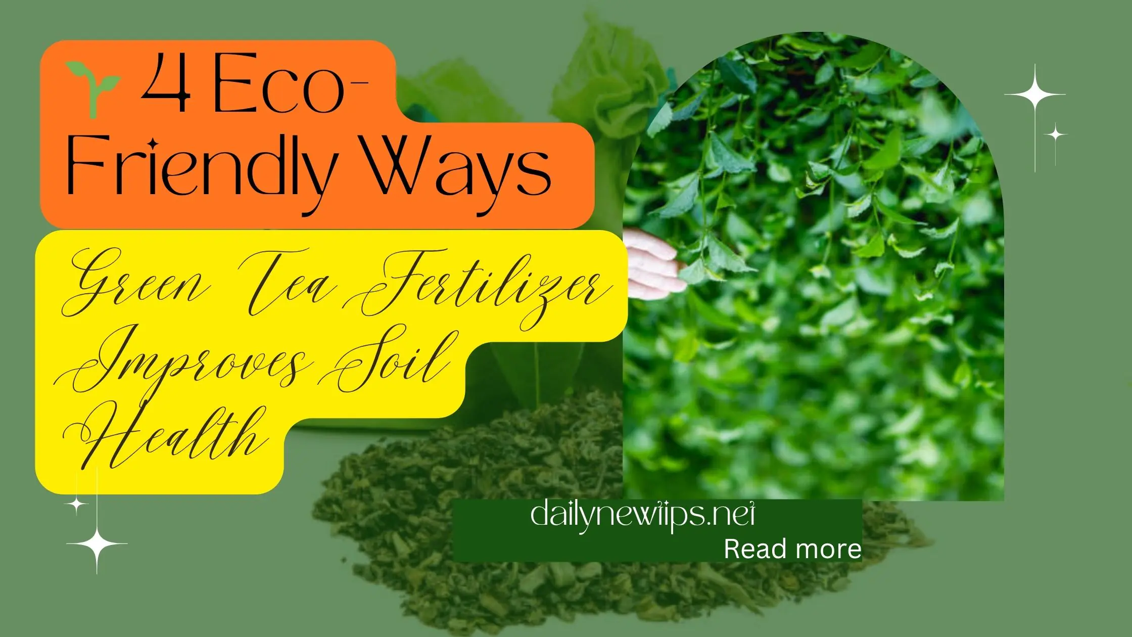 Eco-friendly green tea fertilizer boosting plant growth and soil nutrients