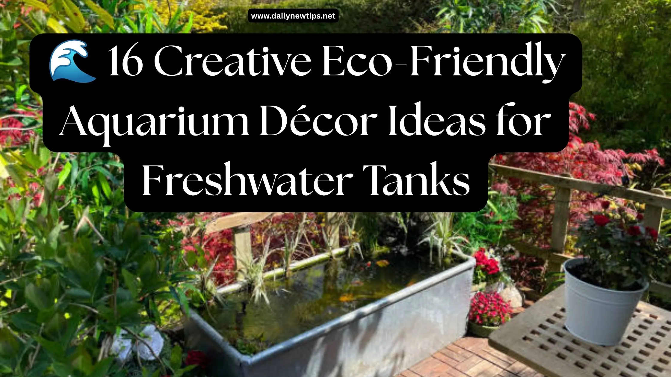 🌊 16 Creative Eco-Friendly Aquarium Décor Ideas for Freshwater Tanks