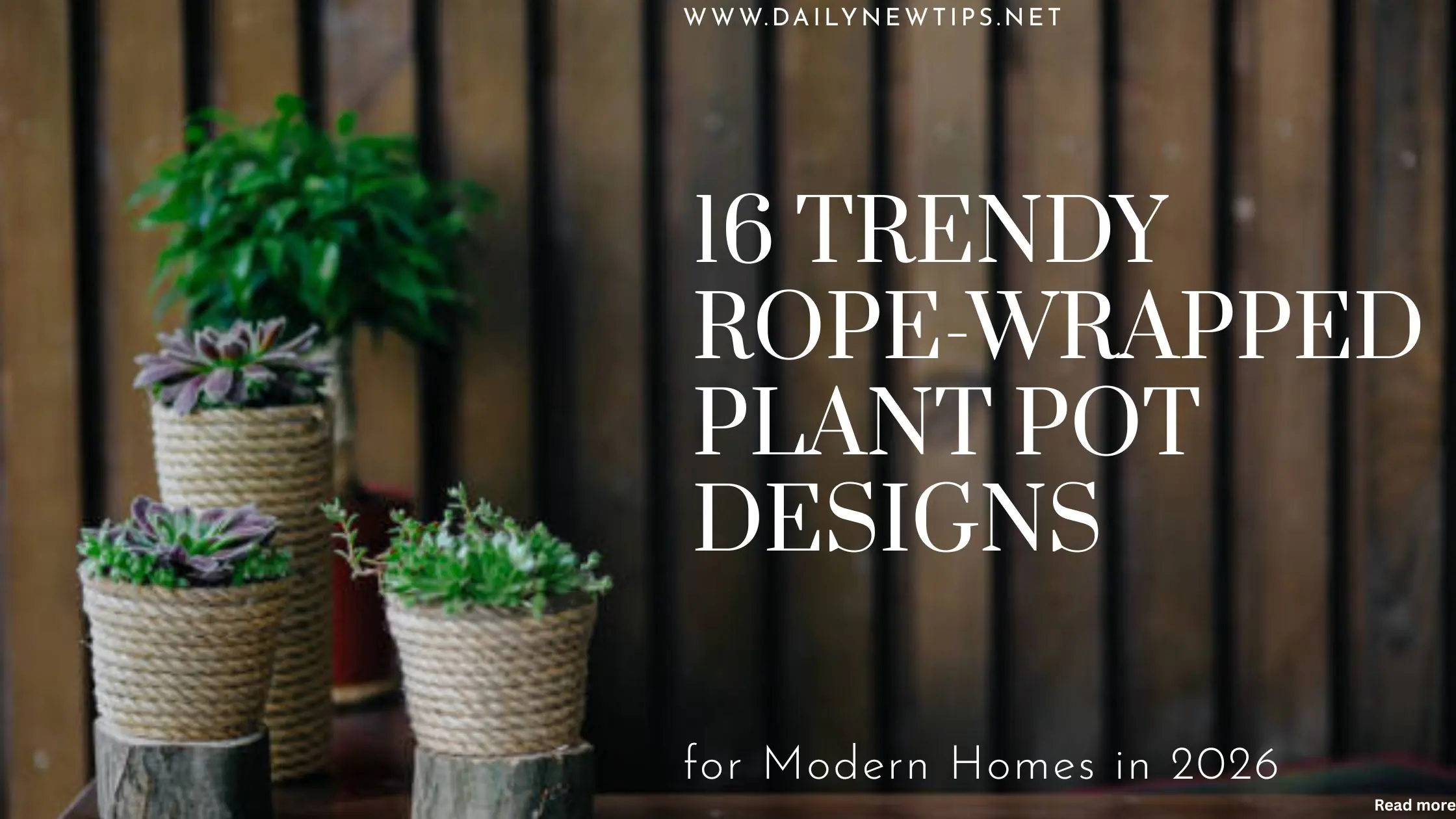 16 Trendy Rope-Wrapped Plant Pot Designs for Modern Homes in 2026