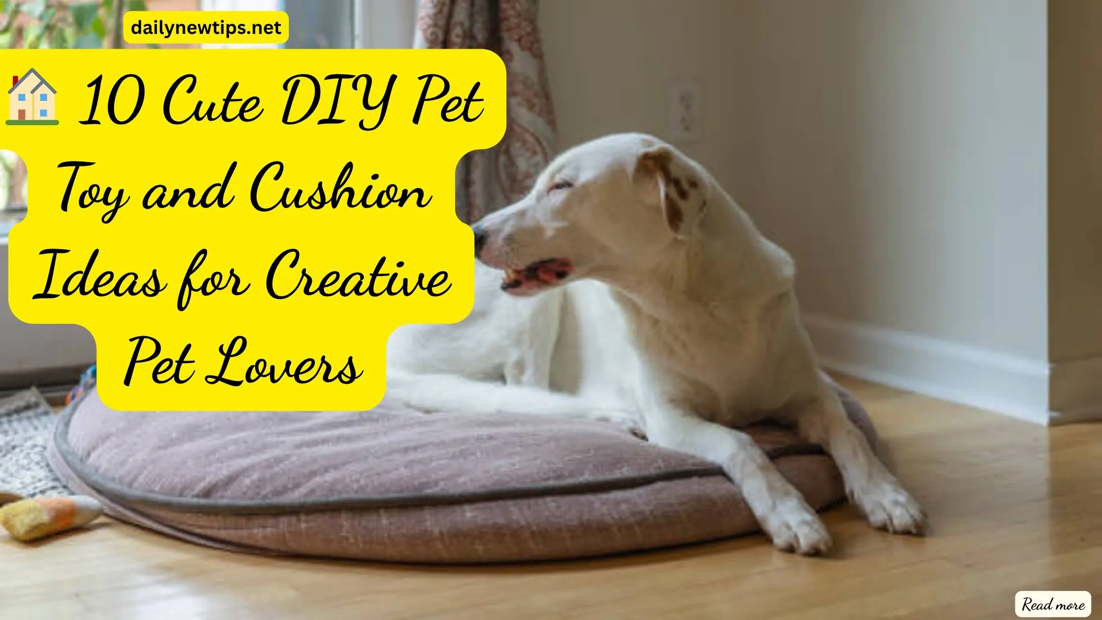 🏠 10 Cute DIY Pet Toy and Cushion Ideas for Creative Pet Lovers