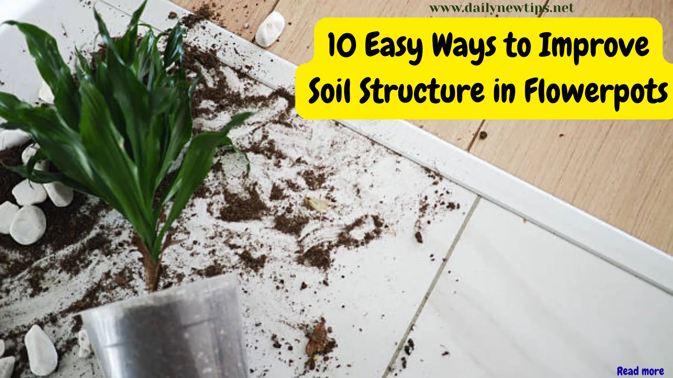 10 Easy Ways to Improve Soil Structure in Flowerpots